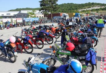 IMG_0360 (800 x 533)