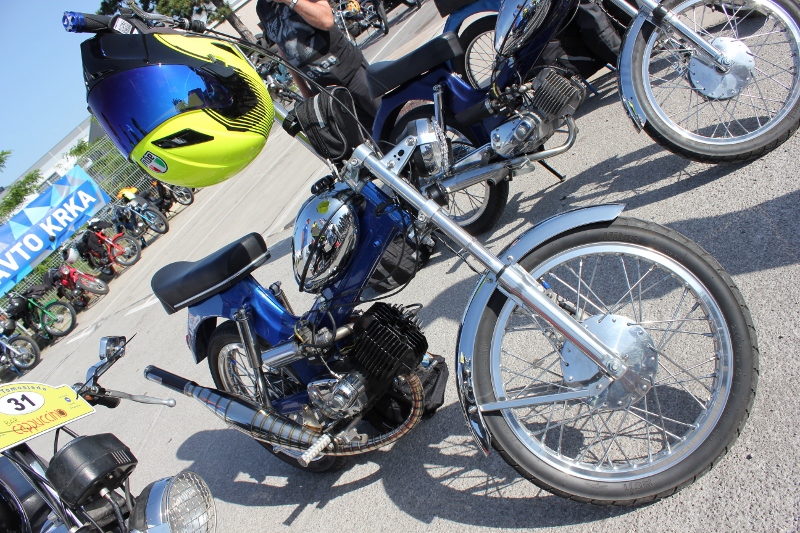 IMG_0364 (800 x 533)