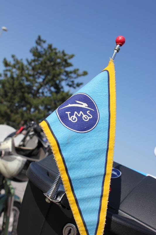 IMG_0382 (533 x 800)