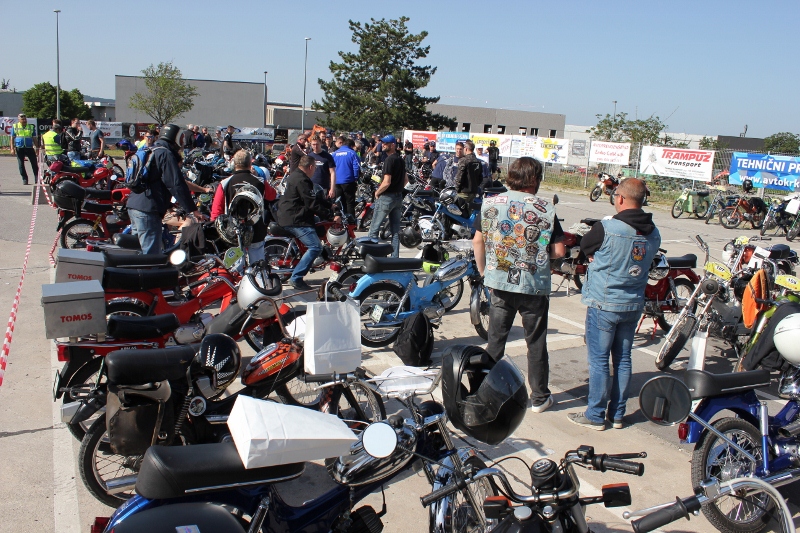 IMG_0389 (800 x 533)