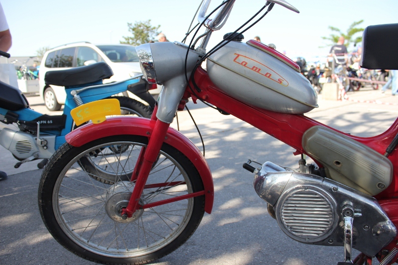 IMG_0392 (800 x 533)