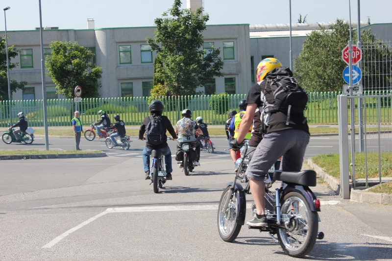 IMG_0428 (800 x 533)