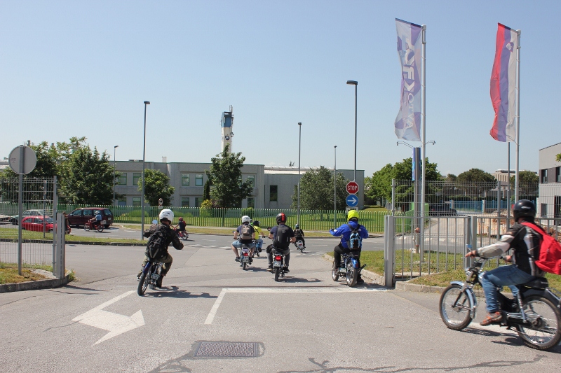 IMG_0445 (800 x 533)