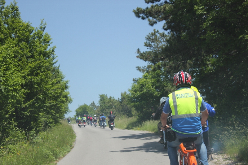 IMG_0468 (800 x 533)