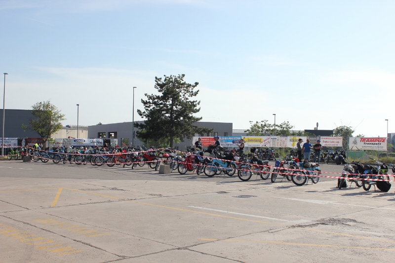 IMG_0512 (800 x 533)