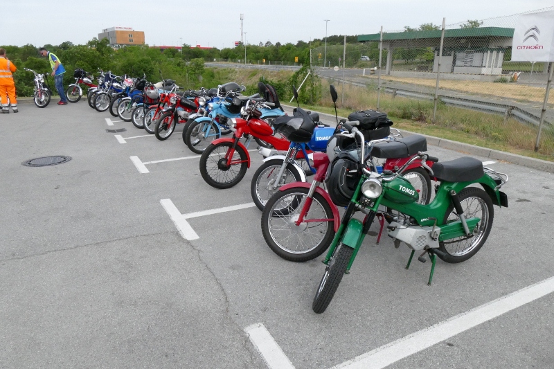 P1130025 (800 x 533)