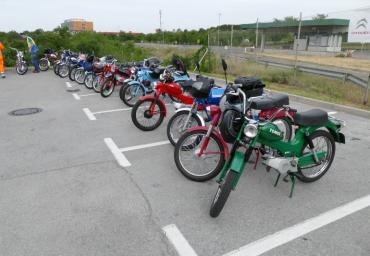 P1130025 (800 x 533)