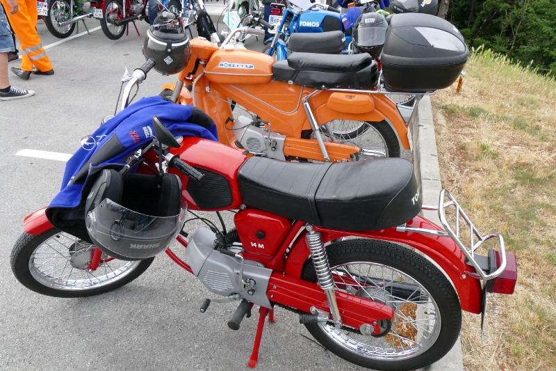 P1130034 (800 x 533)