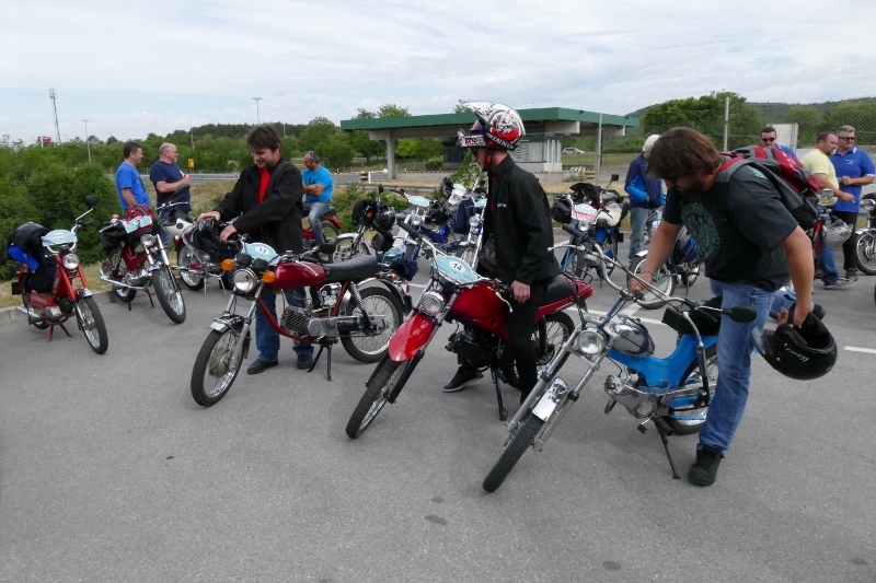 P1130094 (800 x 533)