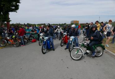 P1130123 (800 x 533)