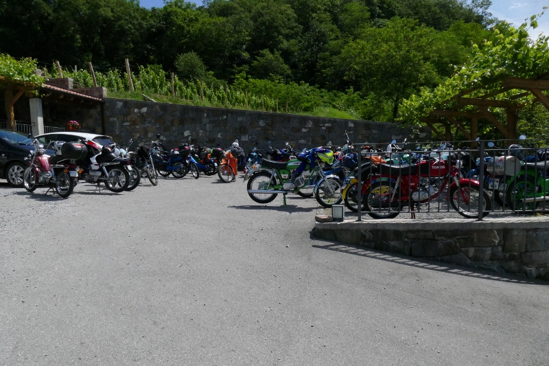 P1130230 (800 x 533)