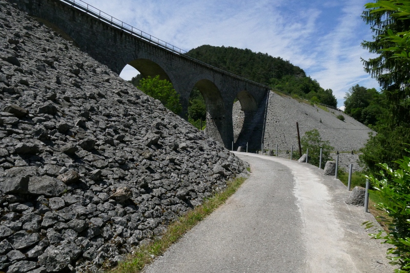 P1130279 (800 x 533)