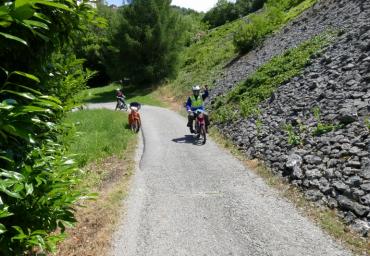 P1130280 (800 x 533)