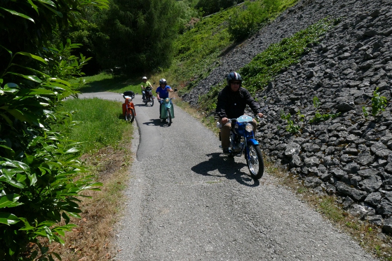 P1130282 (800 x 533)