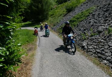 P1130282 (800 x 533)