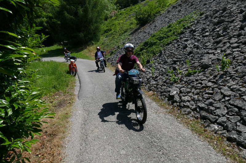 P1130284 (800 x 533)