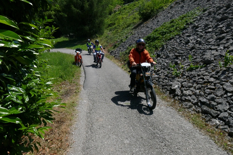 P1130289 (800 x 533)