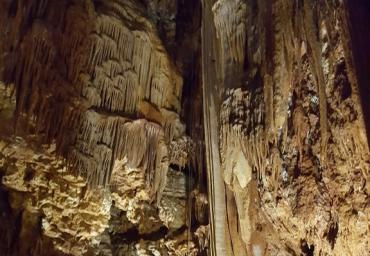 20180916_114625 (576 x 1024)