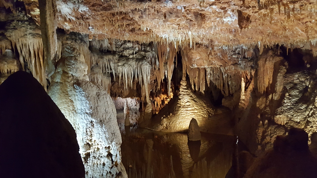 20180916_115157 (1024 x 576)
