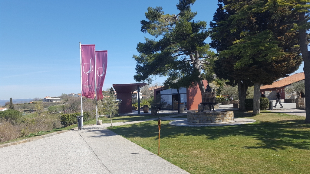 20190330_120924 (1024 x 576)