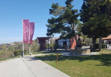 20190330_120924 (1024 x 576)