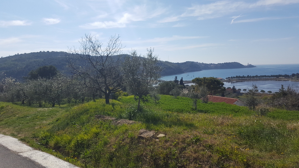 20190330_141317 (1024 x 576)