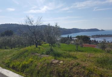 20190330_141317 (1024 x 576)