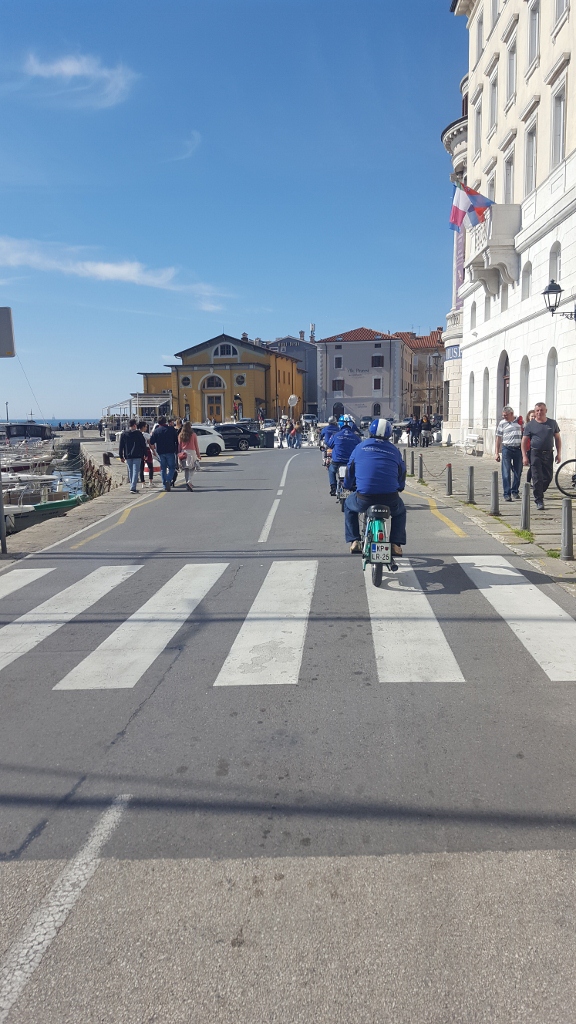 20190330_143032 (576 x 1024)