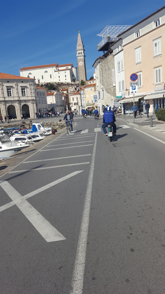 20190330_143045 (576 x 1024)