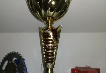 IMG_20190331_205111 (768 x 1024)