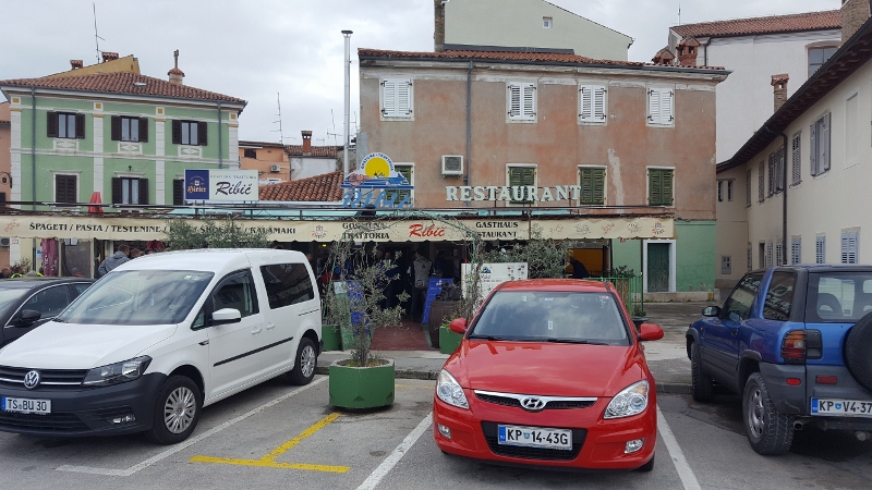 20190413_102512 (800 x 450)