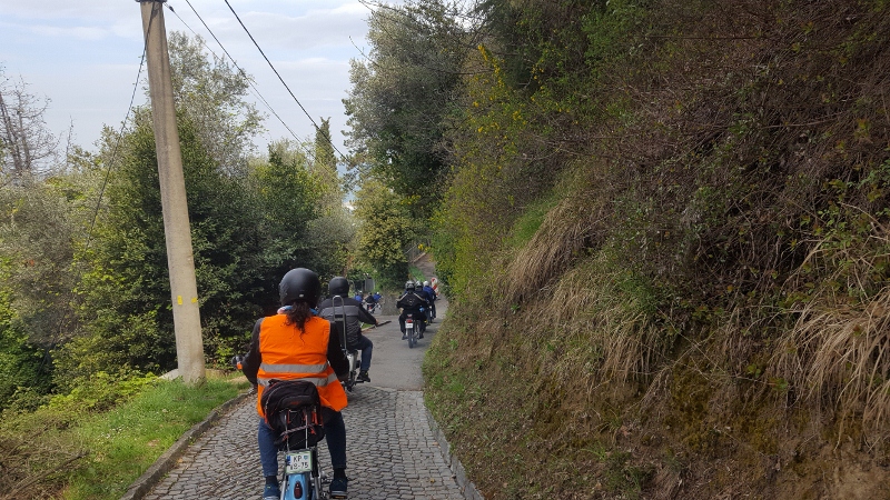 20190413_112520 (800 x 450)