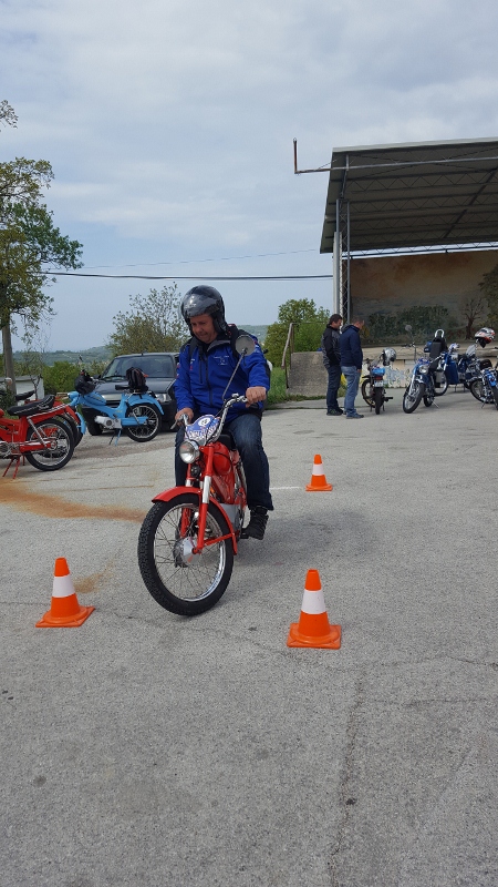 20190413_133741_001 (450 x 800)