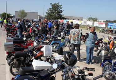 IMG_0389 (800 x 533)